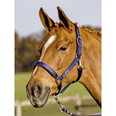 BUSSE Stájovka Solid Soft oranžová – Zboží Dáma