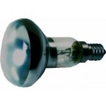 Ecolite Zdroj E14 25W r50 do bodovek – Sleviste.cz