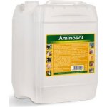 Trouw Nutrition Biofaktory Aminosol sol 5 l – Hledejceny.cz