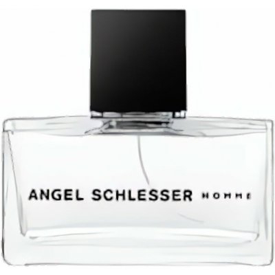 Angel Schlesser toaletní voda pánská 75 ml – Hledejceny.cz