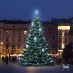 LED světelná sada na vánoční stromy vysoké 9-11 m ledová bílá s Flash dekory EFD09S2 – Hledejceny.cz