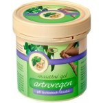 Topvet Artroregen gel 250 ml – Hledejceny.cz