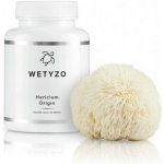 HCY Vitality Hericium Origin 90 kapslí – Hledejceny.cz