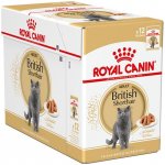 Royal Canin British Shorthair Gravy 12 X 85 g – Sleviste.cz