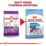 Royal Canin Giant Junior Active 15 kg – Hledejceny.cz