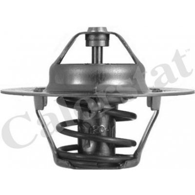 Termostat, chladivo CALORSTAT by Vernet TH4608.80J | Zboží Auto