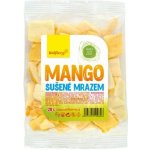 Wolfberry Mango sušené mrazem 20 g – Zboží Dáma