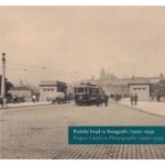 Pražský hrad ve fotografii 1900-1939 / Prague Castle in Photographs 1900-1939 – Hledejceny.cz