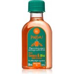 Lola Cosmetics Pinga Cenoura & Oliva vyživující olej na vlasy 50 ml – Hledejceny.cz