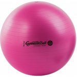 Ledragomma Gymnastik Ball Maxafe 53 cm – Zbozi.Blesk.cz