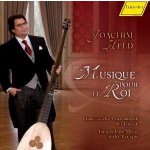 GALLOT, DE VISÉE, MOUTON, COUPERIN - Musique pour le Roi CD – Sleviste.cz