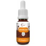 AromaFauna Směs éterických olejů Endoparazin 5 ml – Hledejceny.cz