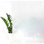 Fólie okenní samolepicí DecoMeister mléčná 150x67,5 cm – Hledejceny.cz