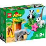 LEGO® DUPLO® 10904 Zvířecí mláďátka – Zbozi.Blesk.cz
