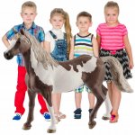 Schleich 13885 Paint horse valach – Hledejceny.cz