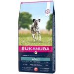 Eukanuba Adult Large Salmon&Barley 2 x 12 kg – Hledejceny.cz