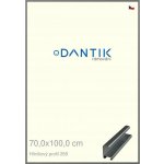 DANTIK rámeček 70x100 | ALU profil 7269 Ššedá broušená (Plexi Čiré) – Zboží Živě