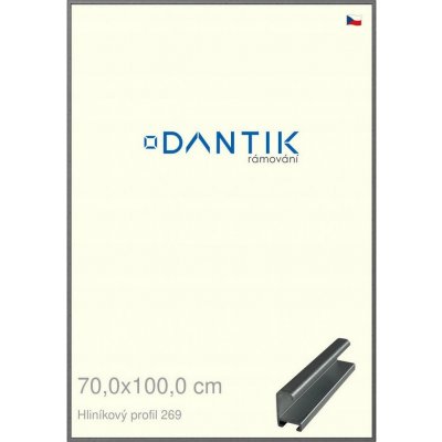 DANTIK rámeček 70x100 | ALU profil 7269 Ššedá broušená (Plexi Čiré) – Zboží Živě