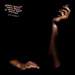 Devin Heat - You Were The Fire I Was The Fever LP – Hledejceny.cz