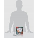 Pokémon TCG Combined Powers Premium Collection – Zboží Mobilmania