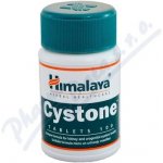 Himalaya Cystone 100 tablet – Zbozi.Blesk.cz