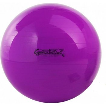 Ledragomma Gymnastik Ball 65 cm