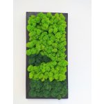 Mechový obraz v černém dřevěném rámu 50cm x 25cm – Zboží Dáma
