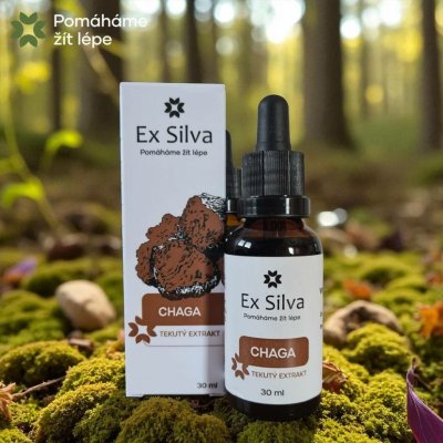 Serafin Chaga BIO Tinktura z hub, 30 ml – Hledejceny.cz