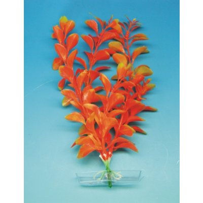 JK Orange ludwigia 25-28 cm – Zboží Mobilmania