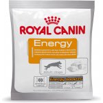 Royal Canin Snacky Energy 30 x 50 g – Hledejceny.cz