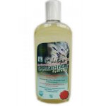 Carlotherm bylinná 250 ml – Zboží Dáma