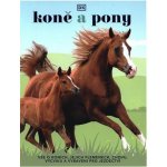 Koně a pony - Vše o koních, jejich plemenech, chovu, výcviku a vybavení pro jezdectví - Caroline Stamps – Hledejceny.cz