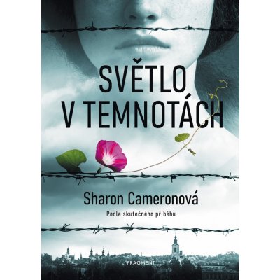 Světlo v temnotách - Sharon Cameronová