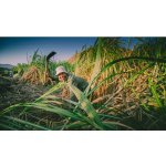 Vůně Afrického kontinentu 1.4.2026 - 1 osoba, Podpalubí Warehouse #1 Praha, 1-2 hod – Zboží Mobilmania