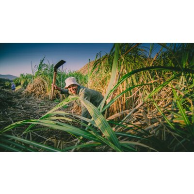 Vůně Afrického kontinentu 1.4.2026 - 1 osoba, Podpalubí Warehouse #1 Praha, 1-2 hod – Zboží Mobilmania