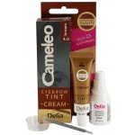 Delia Cosmetics Cameleo krémová profesionální barva na obočí 4.0 Brown 15 ml – Zbozi.Blesk.cz