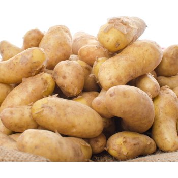 Sadbové brambory Ratte - Solanum tuberosum - 5 ks