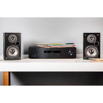 Polk Audio T15