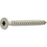 Vrut do dřevotřísky zápustná hlava plný závit 4.0x 12 Torx 20 nerez A2 (500 ks) – Zboží Mobilmania