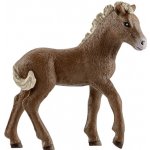 Schleich 42363 Jezdec s poníky – Zbozi.Blesk.cz