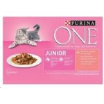 Purina ONE Junior minifiletky s lososem a mrkví ve šťávě 4 x 85 g – Zbozi.Blesk.cz