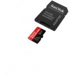 SanDisk microSDXC 1TB Class 10 UHS-I U3 SDSQXCZ-1T00-GN6MA – Zbozi.Blesk.cz