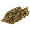 Weedshop CBD konopí Blueberry 0,8 % THC 1 g