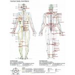 Movit akupresurní podložka s polštářem zelená 130 x 50 cm – Zboží Dáma