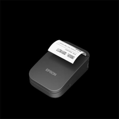 Epson TM-P20II (101) C31CJ99101 – Hledejceny.cz