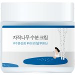 Round Lab Birch Juice Moisturizing Cream s březovou šťávou 80 ml – Zbozi.Blesk.cz