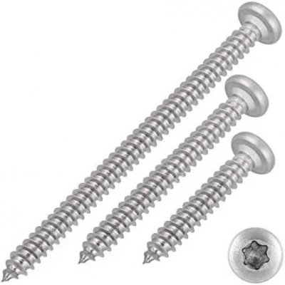 Šroub DIN 7981C nerez A2 5,5x13 Torx – Hledejceny.cz