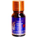 TianDe Kosmetický masážní olej "Tajemství energie Čchi" 10 ml – Zboží Dáma