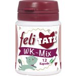 Odčervovací byliny pro kočky feli TATZ cdVet 12 kapslí – Zboží Dáma