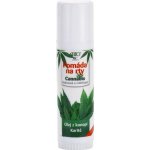 BC Bione Pomáda na rty Cannabis 5 ml – Zbozi.Blesk.cz